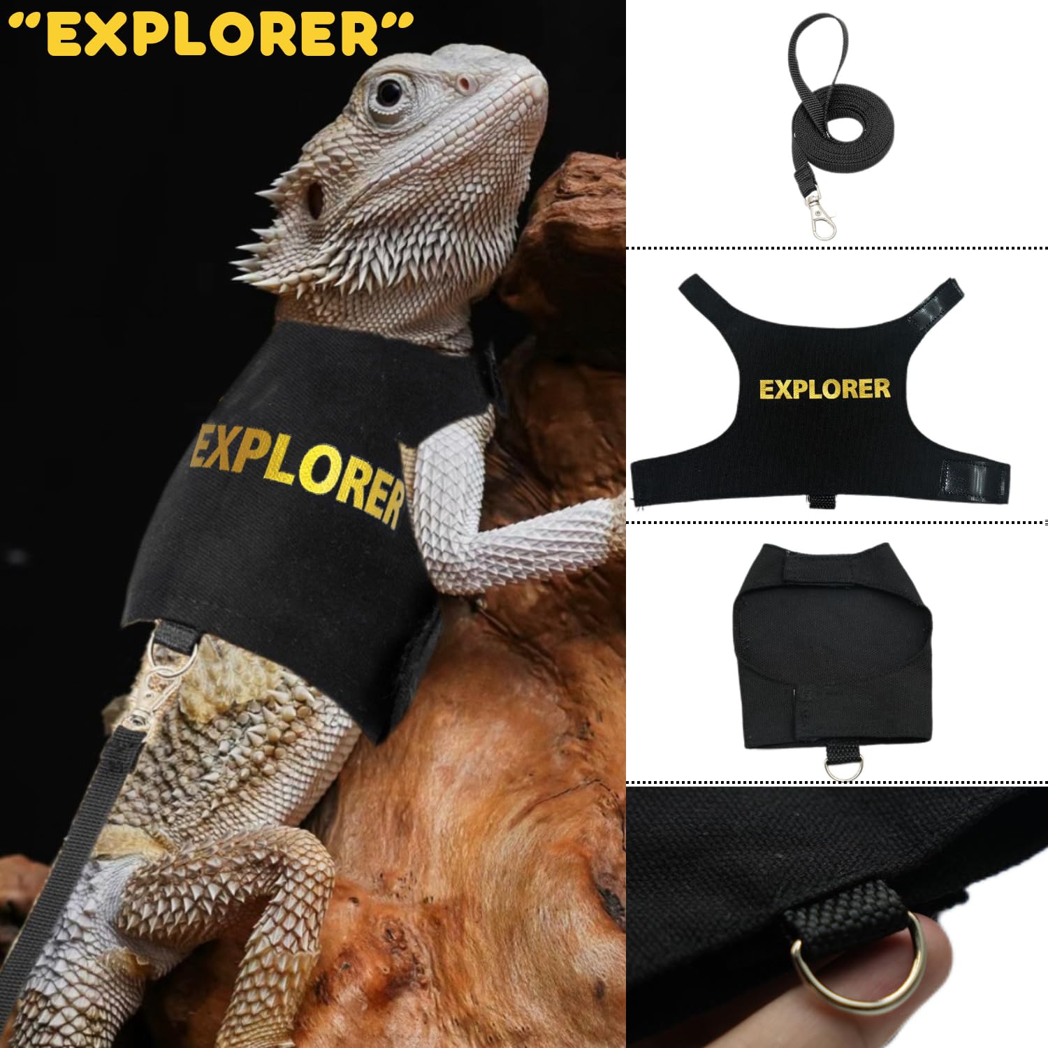 https://m.media-amazon.com/images/I/71X7VMVXtqL.jpg