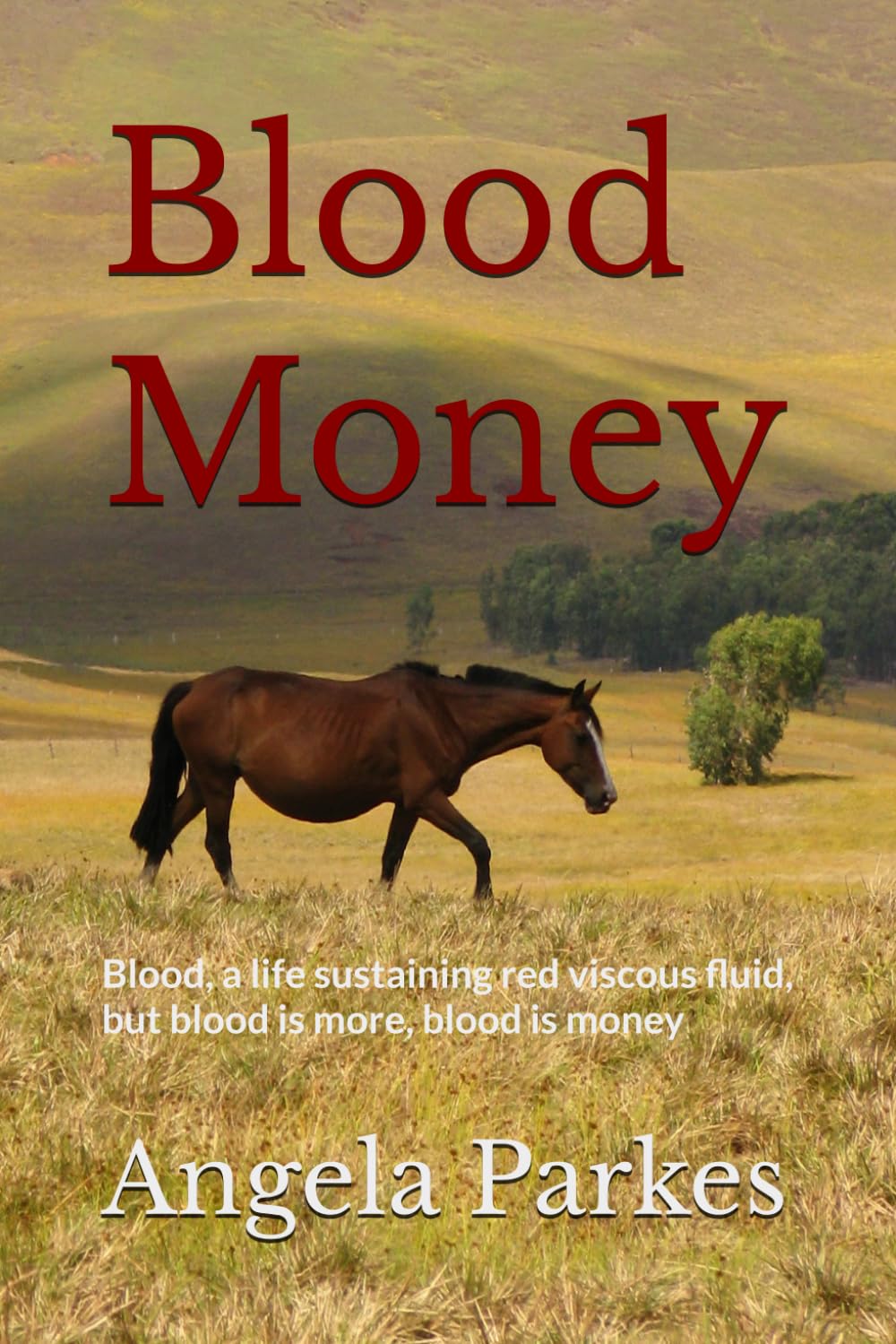 Blood Money (Blood Pharma Series)