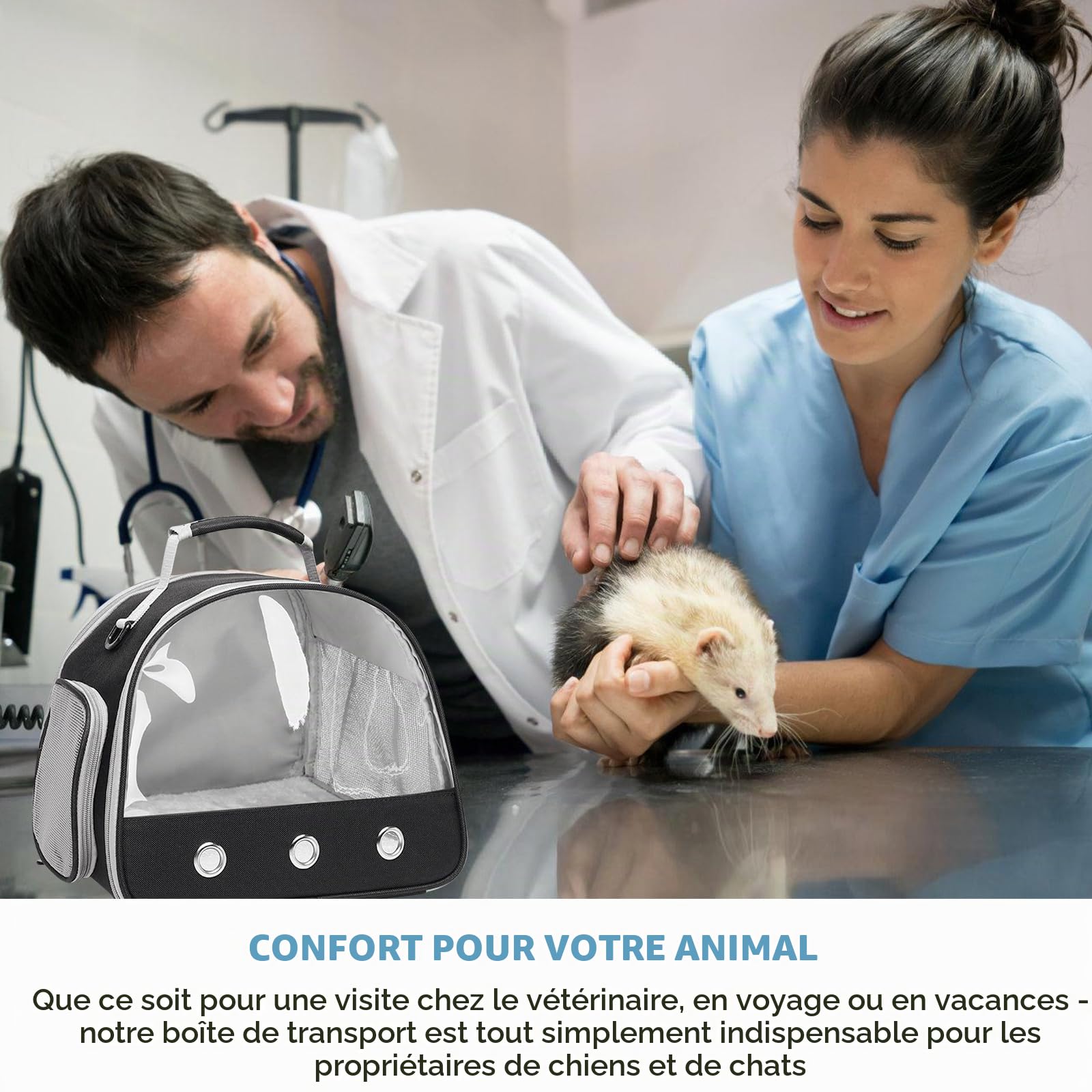Petit Sac de Transport pour Animaux de Compagnie avec Ouverture Latérale - Boîte Pliable pour Chats, Oiseaux, Chatons et Chiots