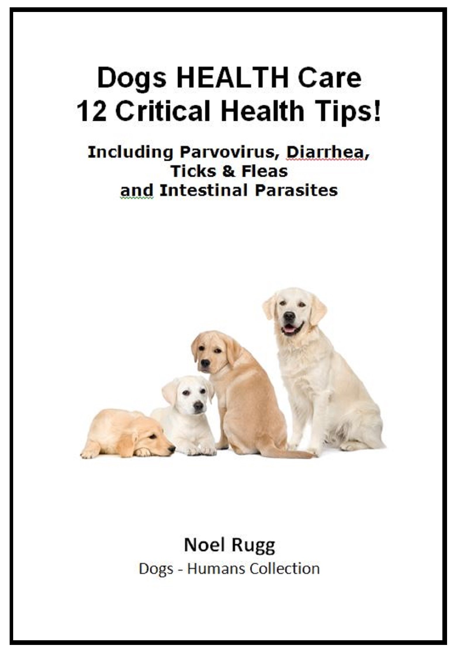 Buy Dog Care 11 Critical Tips! Including Parvovirus, Diarrhea, Ticks