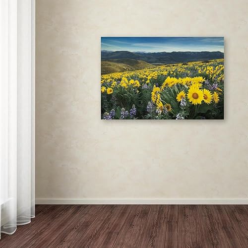 Miniatura 3 de Trademark Fine Art WAP01796-C1624GG Methow Valley Wildflowers IV, 16x24