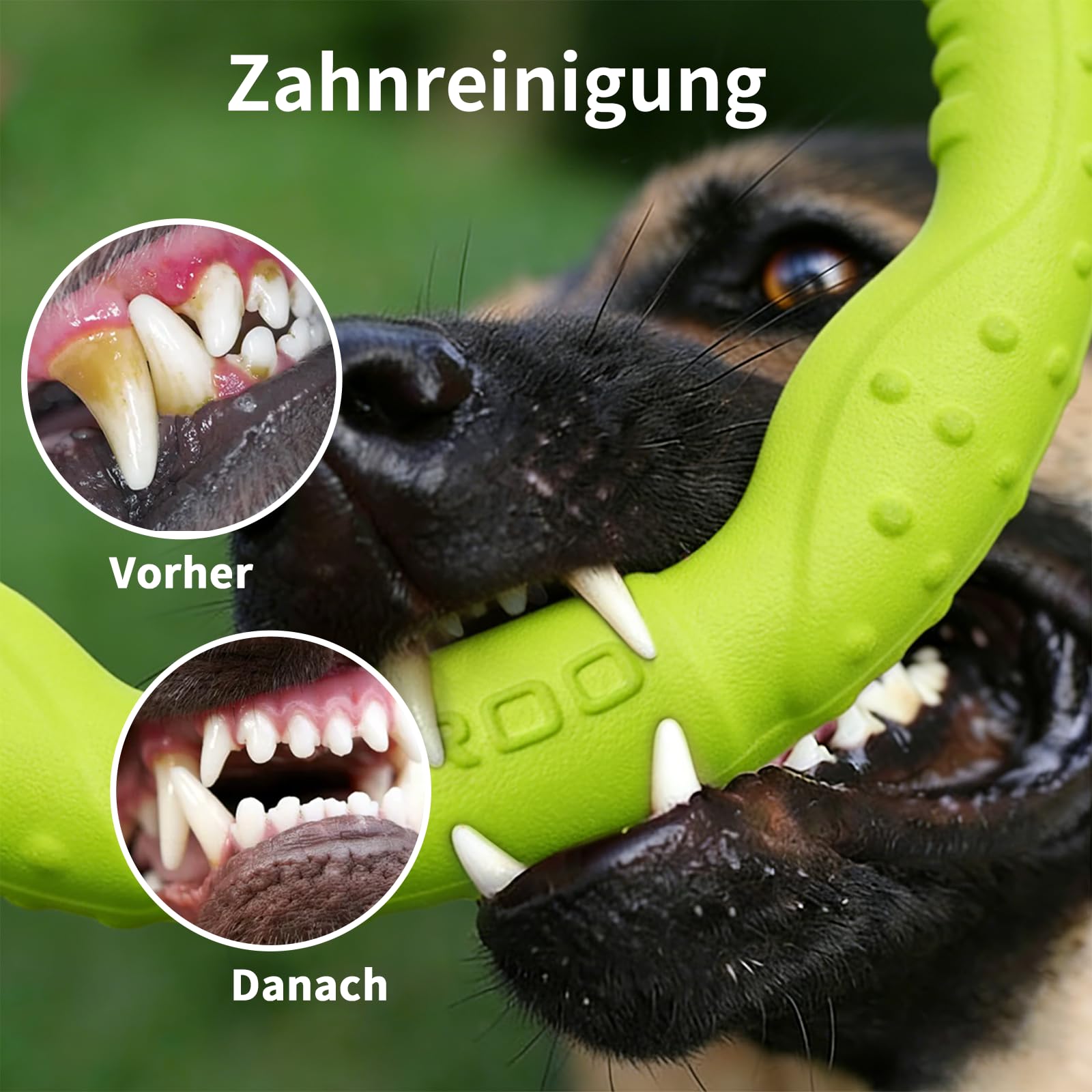 LaRoo Jouet pour Chien Dog Disc, Disque de Lancer Durable pour Chiens forts pour Petits, Moyens et Grands Chiens, Sport, Exercice, Activité et Jeux de Plein air (Vert, Grand-30CM)