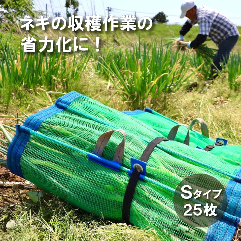 ねぎまき Amazon | 25枚 ネギマキネット Sタイプ 60cm×100cm ネギ 枝豆 花 収穫