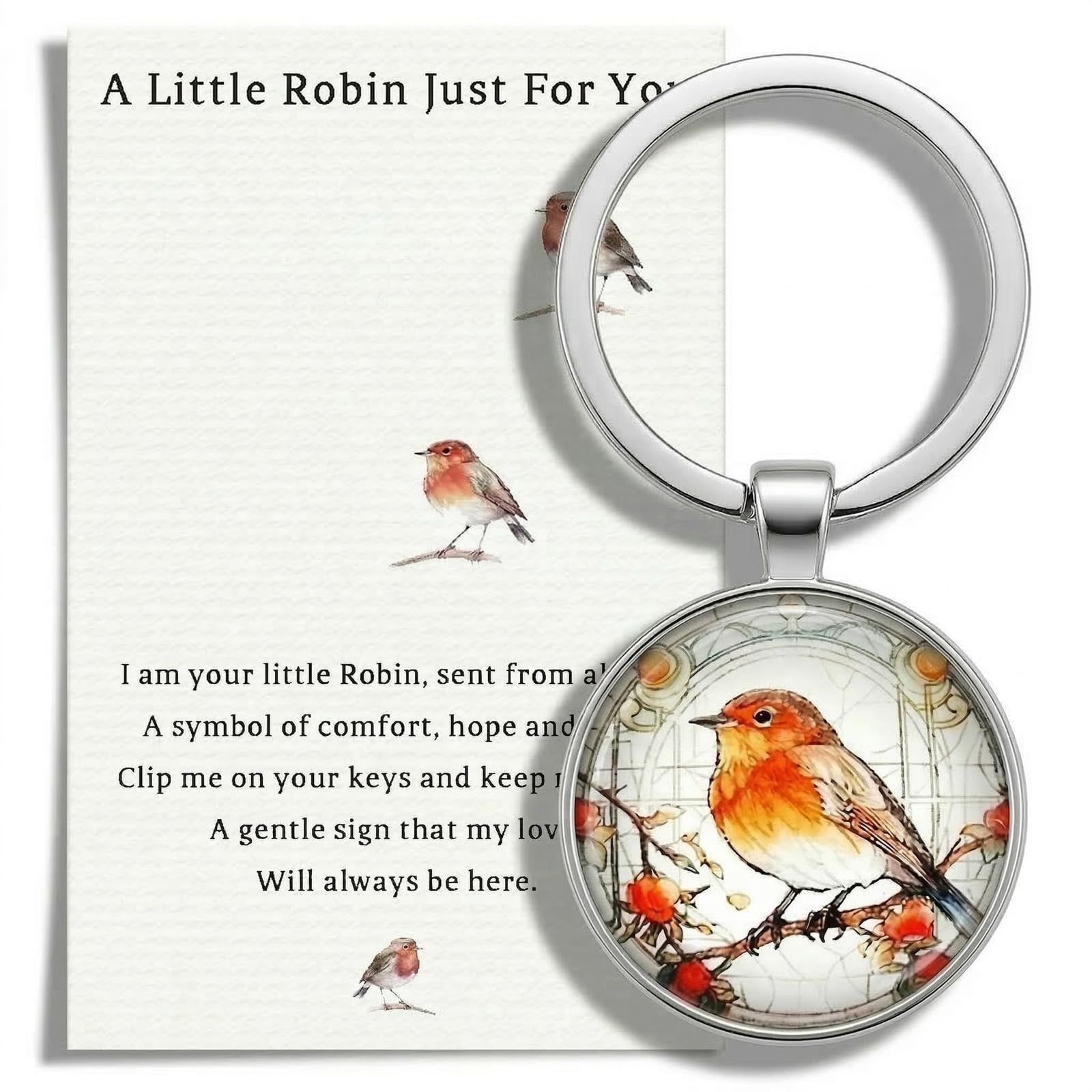 AIKOBAA Robin Keyring, Sympathy Gifts for Loss of Mother Dad, Remembrance Gifts for Loved One, Sentimental Robin Ornaments for Women, Thinking of You Keepsake