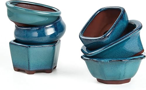 Miniatura 8 de Juego de 6 macetas para suculentas de Bonsái + 6 pantallas de drenaje de malla suave