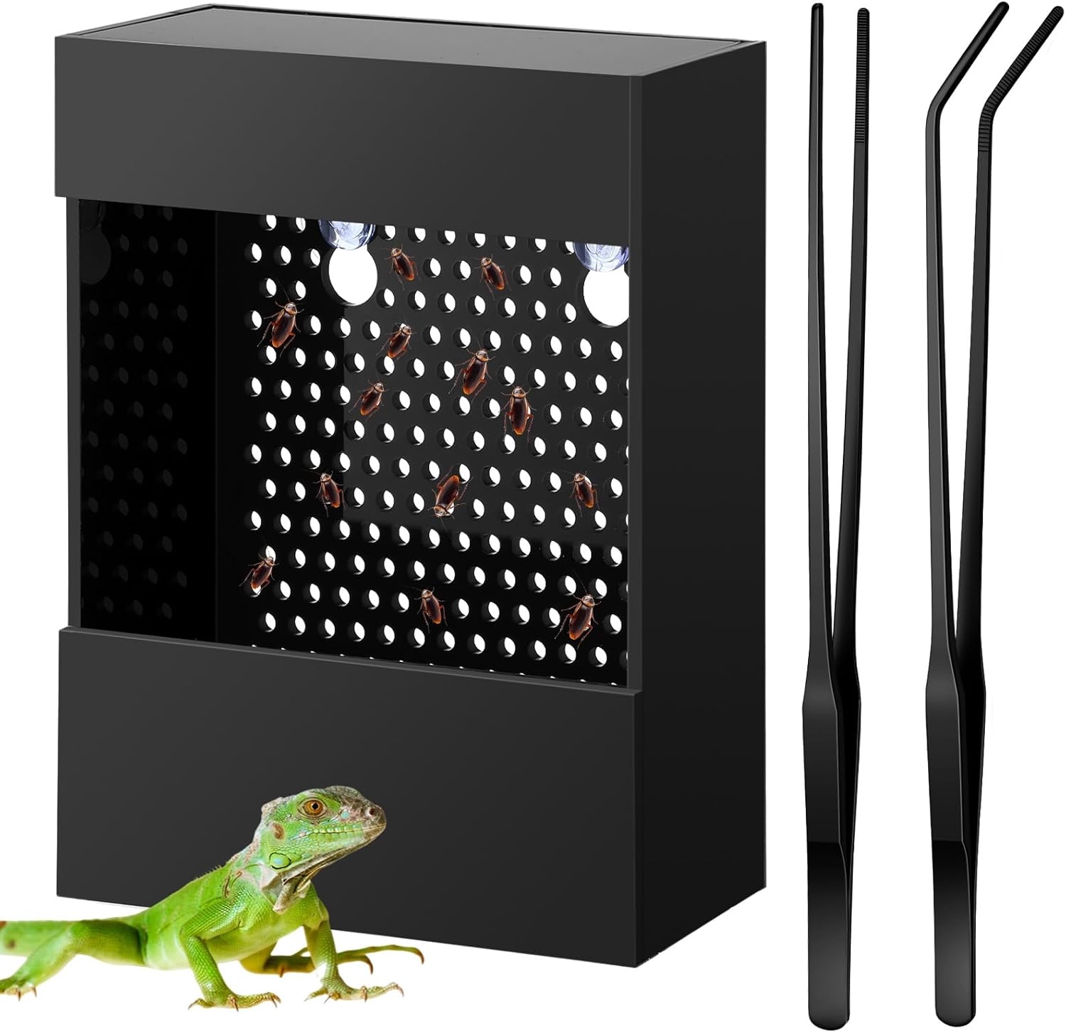 Geyoga Bearded Dragon Feeder: Acrylic Bug Bowl with Suction Cups & 2 Tweezers for Chameleons, Lizards, Geckos, Frogs (Black)
