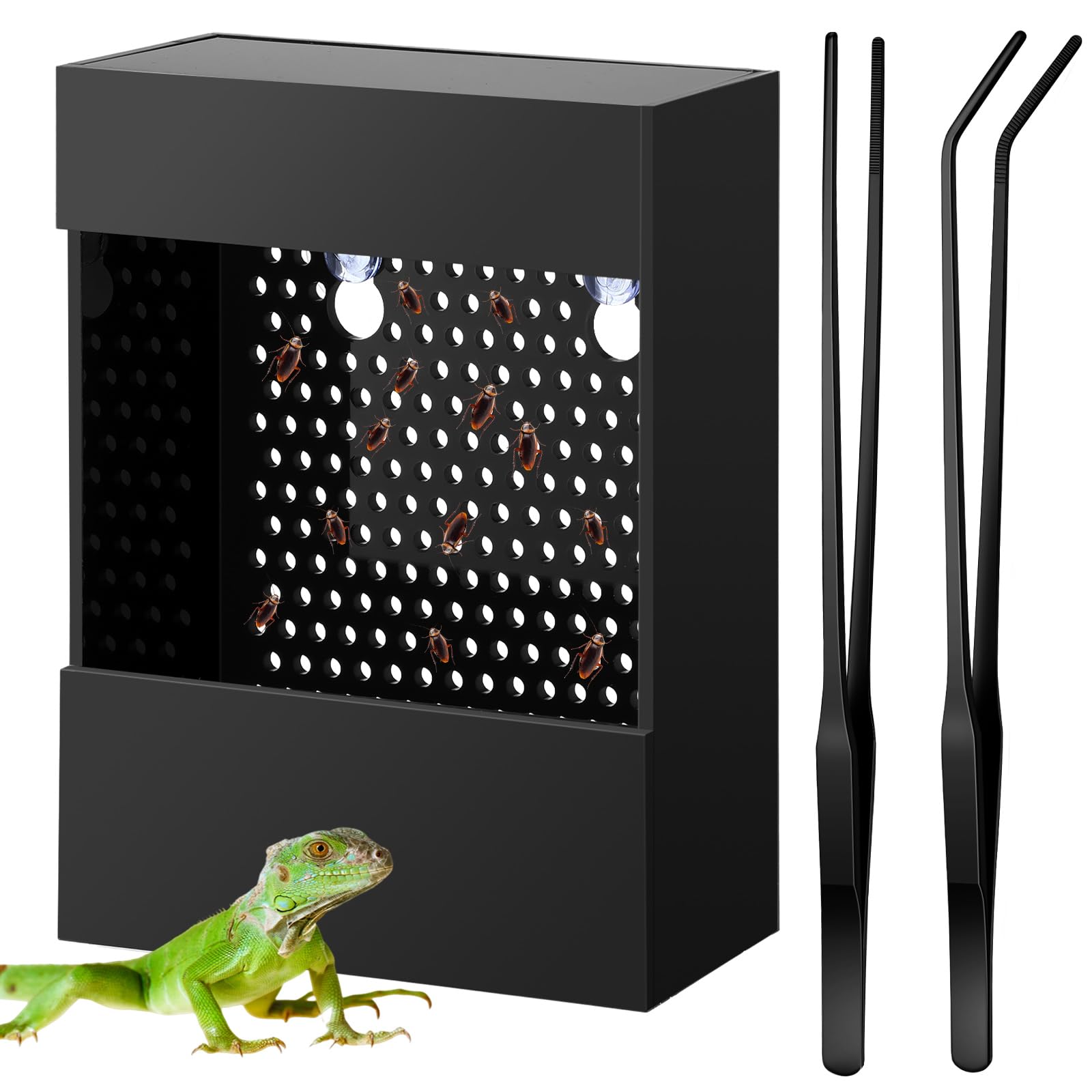 Geyoga Bearded Dragon Feeder with 2 Aquarium Tweezers Acrylic Reptile Feeder Box Chameleon Bug Bowl Wall Mounted Insect Feeder with Suction Cups for Bearded Dragon Lizard (Black)