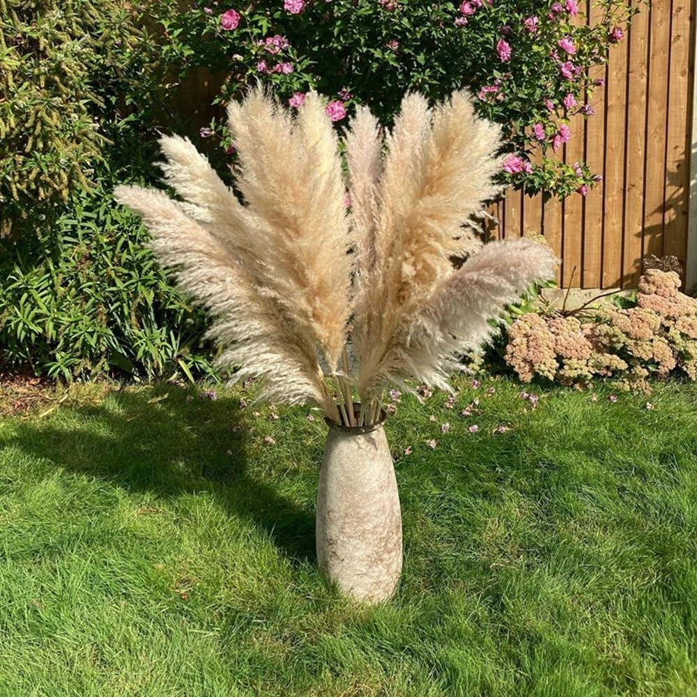 Décorer la Maison avec des Fleurs sèches, Bouquet de Fleurs séchées d'herbe de la Pampa (5/7/10) Couleur Naturelle 80 cm(7 Pcs)