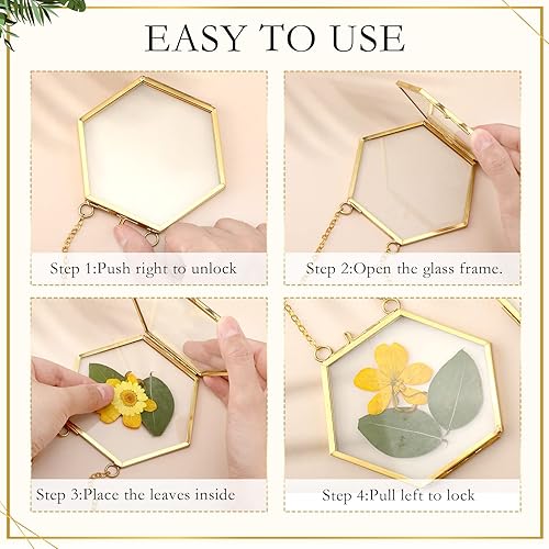 Miniatura 3 de Marco de vidrio para bricolaje, arte de flores prensadas, marco de fotos colgante de latón con cadena y 6 estilos de flores prensadas, collage de