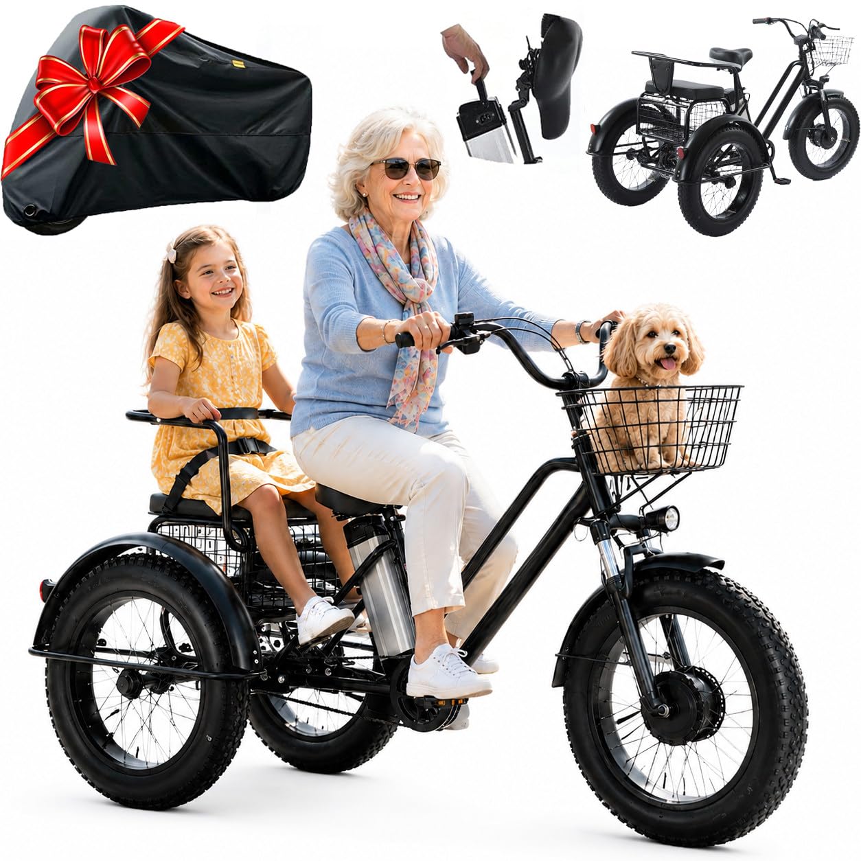 Tricycle électrique pour Adultes - Charge 200Kg B