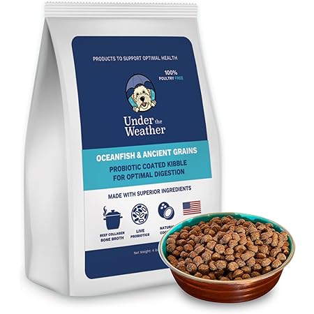 Beautiful Under The Weather Dog Food Scene for Your Screen Beautiful Under The Weather Dog Food Scene for Your Screen