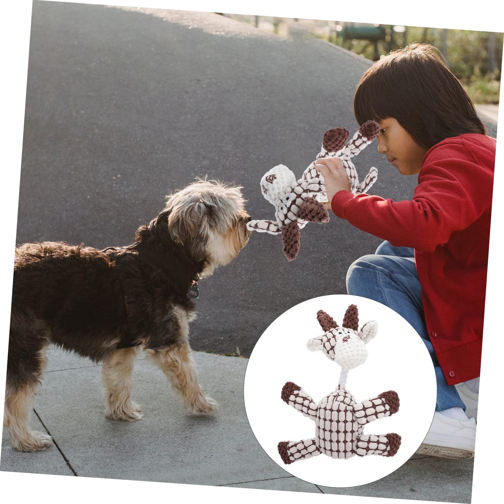 POPETPOP 3pezzi Interattivo Per Squeak Masticabile Per e Divertimento Design e Resistente Per Domestici