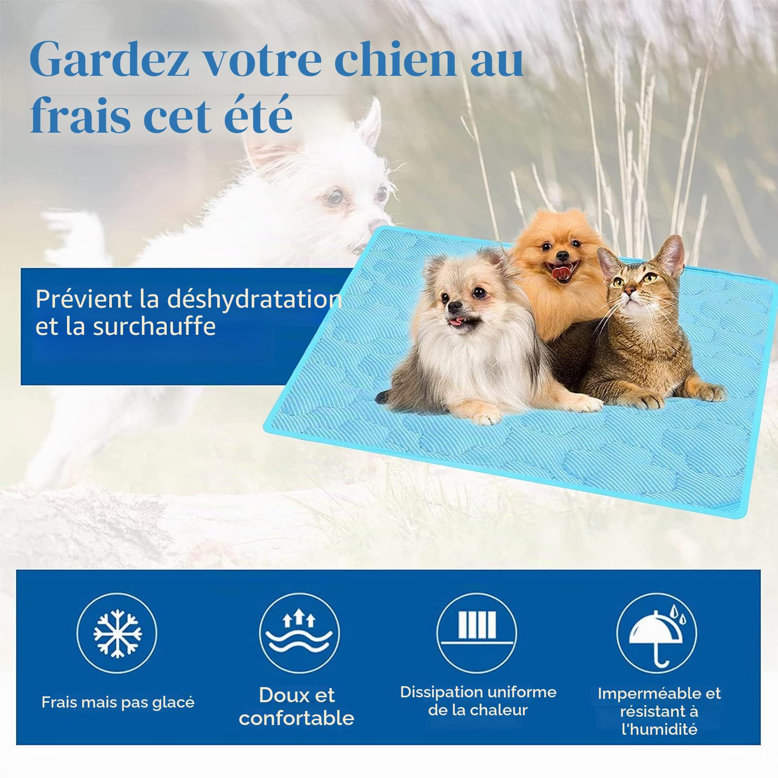 Tapis rafraîchissant pour Chien, 100 x 70 cm - Auto-rafraîchissant - Tapis rafraîchissant pour Chiens et Chats - Auto-rafraîchissant - Tapis de Refroidissement pour Animaux de Compagnie (XL)