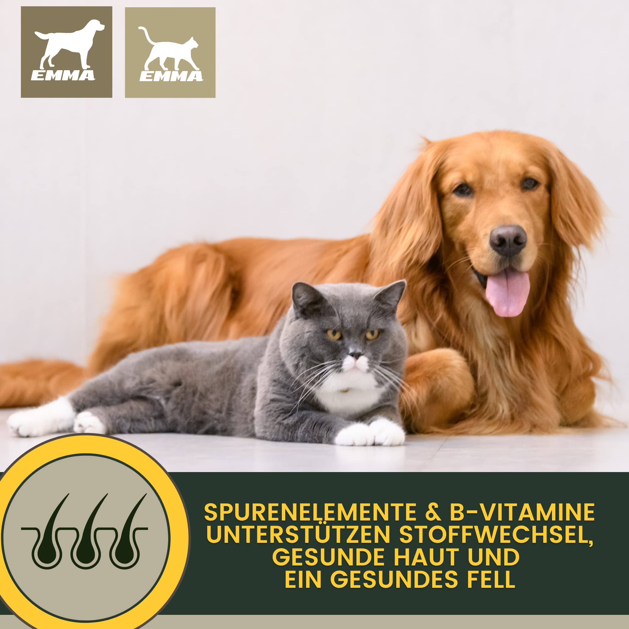 EMMA Multi Vitamine B Complex para Gatos, Vitamina B1, B2, B6, B12, Calcio, ácido fólico, Hierro, Zinc Líquido 100 ml más Refuerzo vitamínico 15 ml