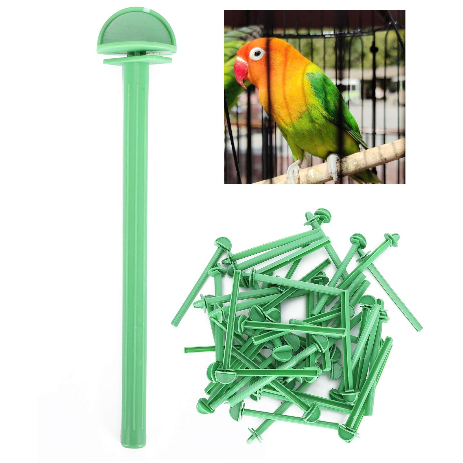Bastone da Appoggio per Gabbie Uccelli, 50 Pezzi, Accessorio per Posatoi Pappagalli Parrocchetti, Materiale Plastica, Superficie Antiscivolo, Facile Installazione, Per Vo