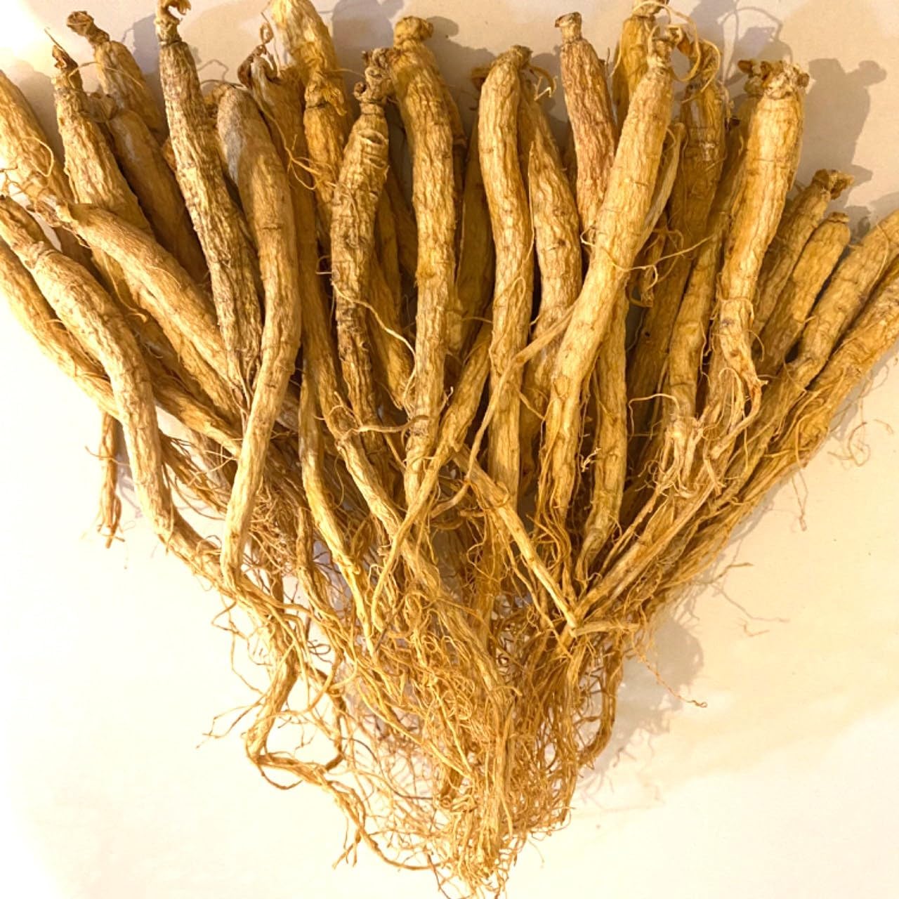 高麗人参 朝鮮人参 オタネニンジン 100g 約30本 長白山産 高麗人参酒