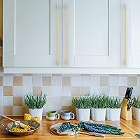 Vista 3 de Asidrama 6 Pack 12.6 Inch(320mm) Brushed Brass Kitchen Cabinet Handles, Cabinet Pulls Kitchen Cabinet Hardware for Cupboard Drawer Pulls