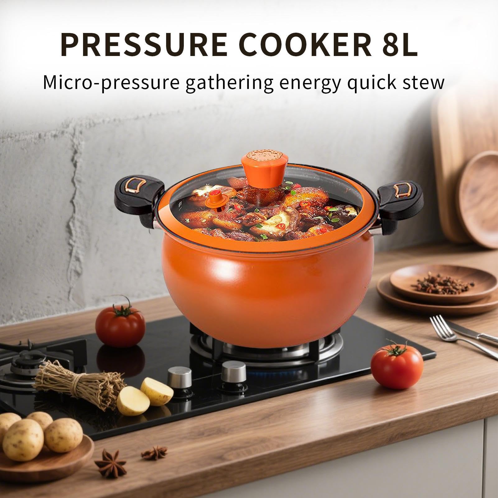 Machine à Cuisson 3L Pots à Cuisson Rapide