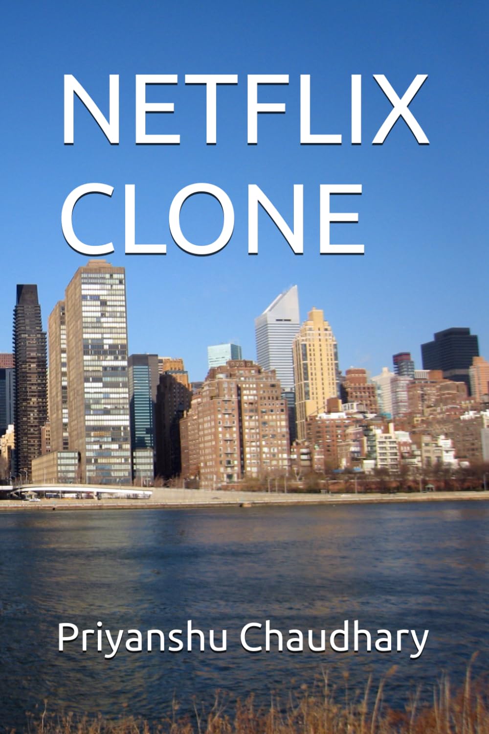 NETFLIX CLONE