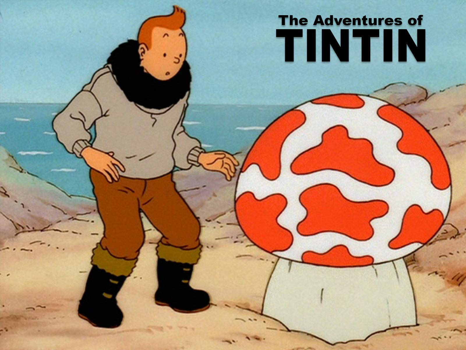The Adventures of Tintin