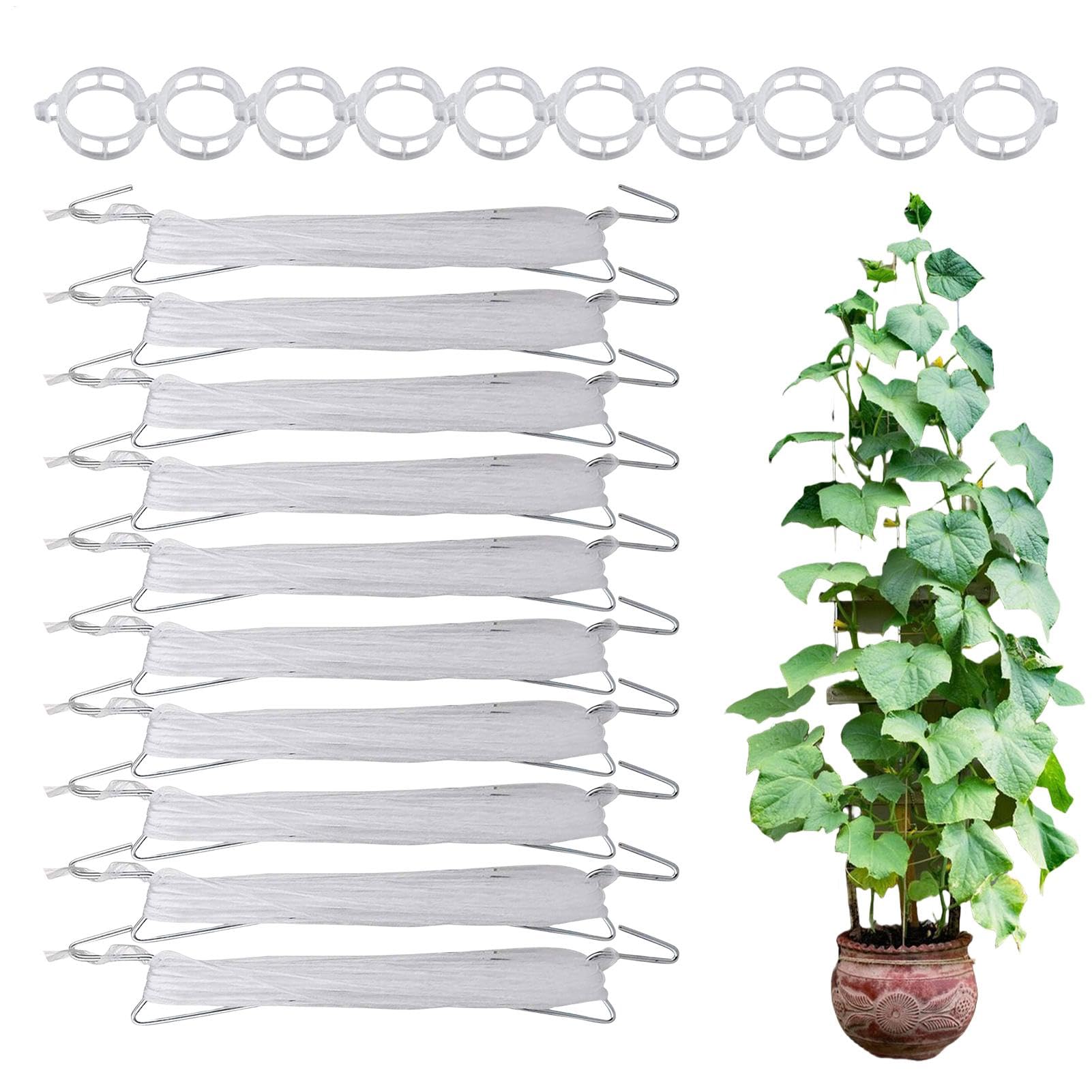 Ganci Per Pomodori 10 Pezzi Di Molli Resistenti E Riutilizzabili | Ganci Per Verdure E Molli Per Piante Con Spago Da 10 m Per Esterno Verdura Frutta Piante Fiori Cetriolo Anguria Uva Luffa