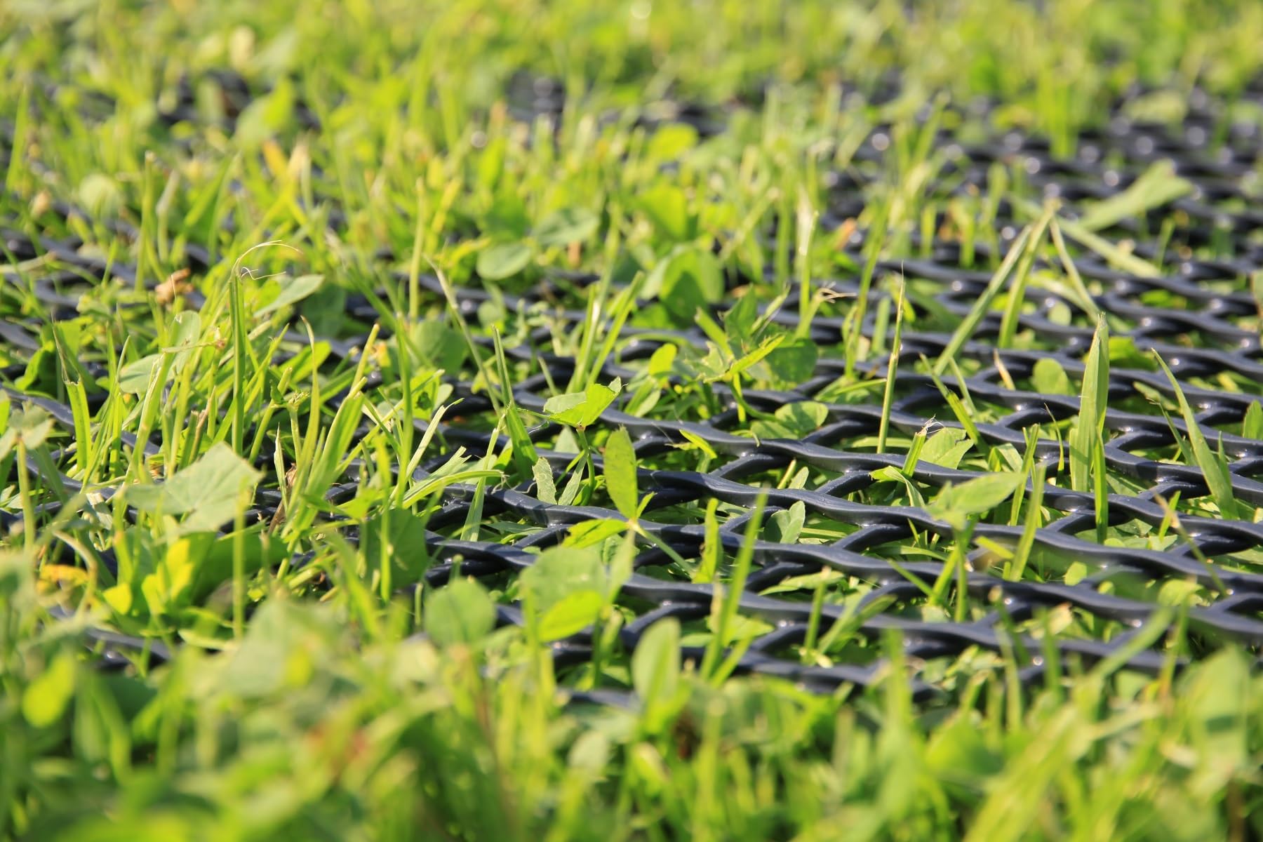 EraGreen Griglia di protezione per prato, 1,3 m di larghezza x 10 m di lunghezza, stabile e trasportabile, per giardino, vialetto, beccuccio per polli e argine, compatibile con robot tosaerba