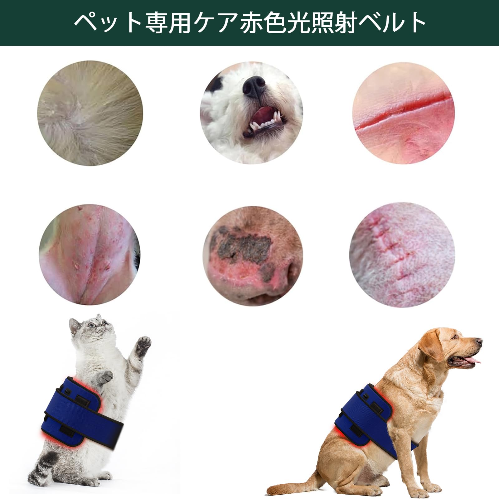 Amazon.co.jp: ペット赤外線ベルト 犬 猫 赤色光ベルト ペット 動物用