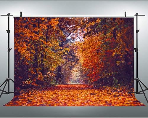 EOA Fondo de fotografía de hojas de arce de 7 pulgadas de ancho x 5 pies de alto, paisaje de túnel amarillo caído, fondo de temporada natural, árbol
