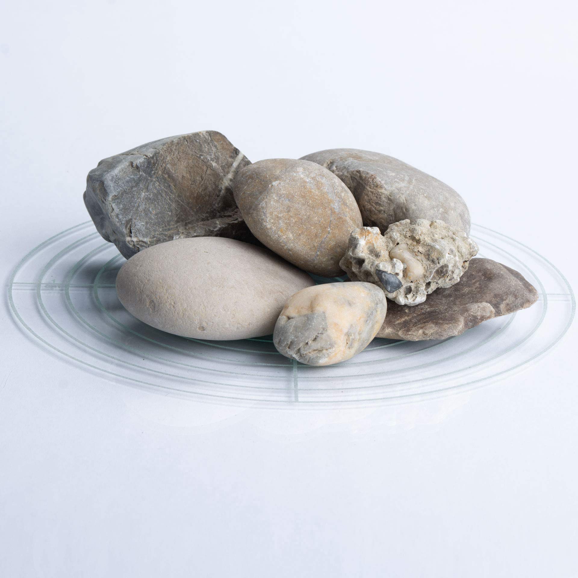 Schicker Mineral Isarkies Zierkies bunt 32-60 mm 25 kg, natürlich gerundeter Flusskies, witterungsbeständig, Gartengestaltung