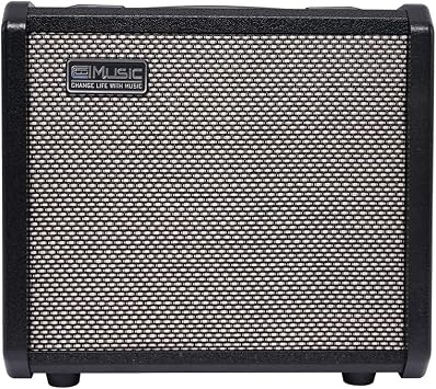 TS20 20W Bass Combo Amp - Black, Suitable for Bass Guitar, 6.5 Inch Speaker, Overdrive Circuit, Mid-Scoop Contour Switch