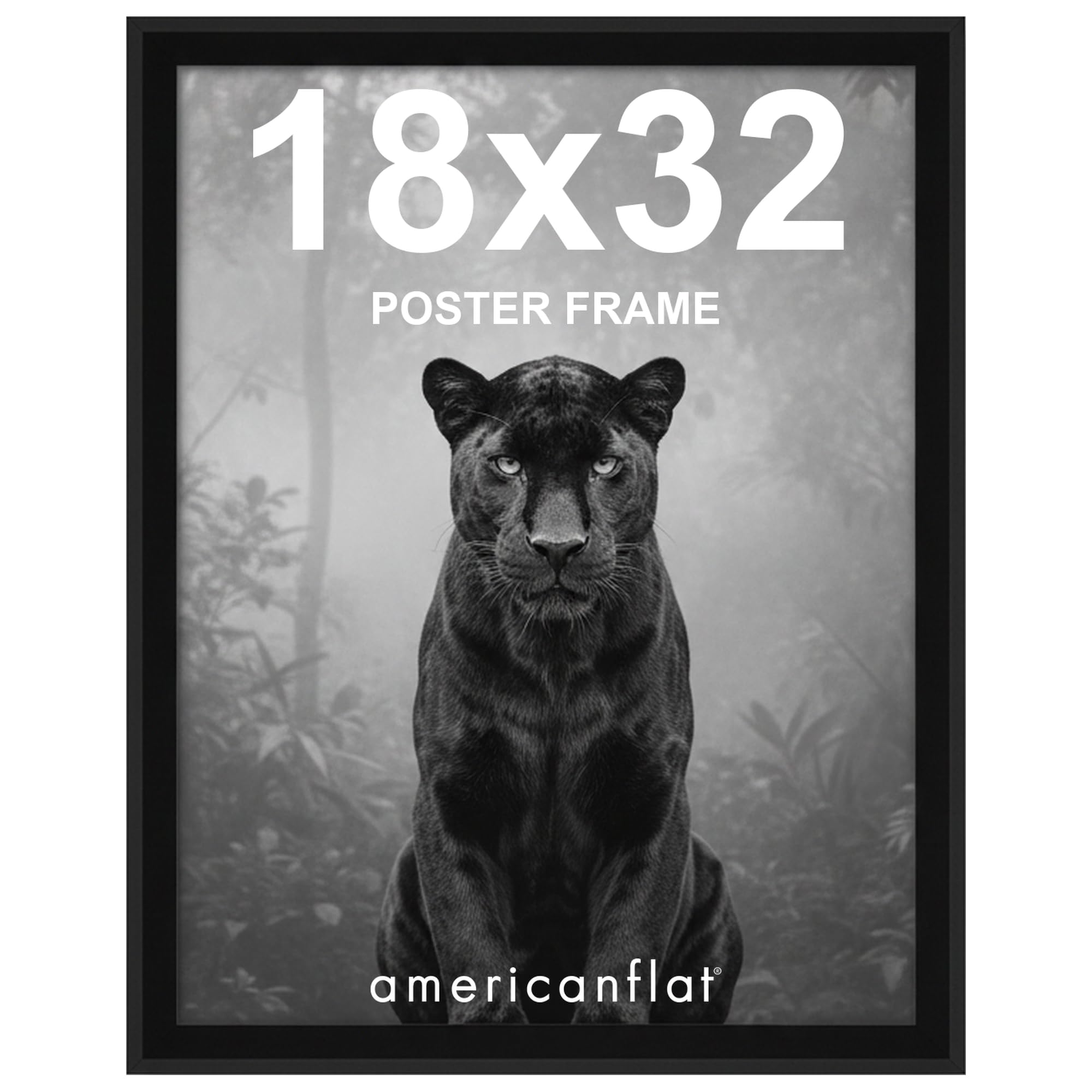 Amazon.com - Americanflat 18x32 Poster Frame - Black Engineered