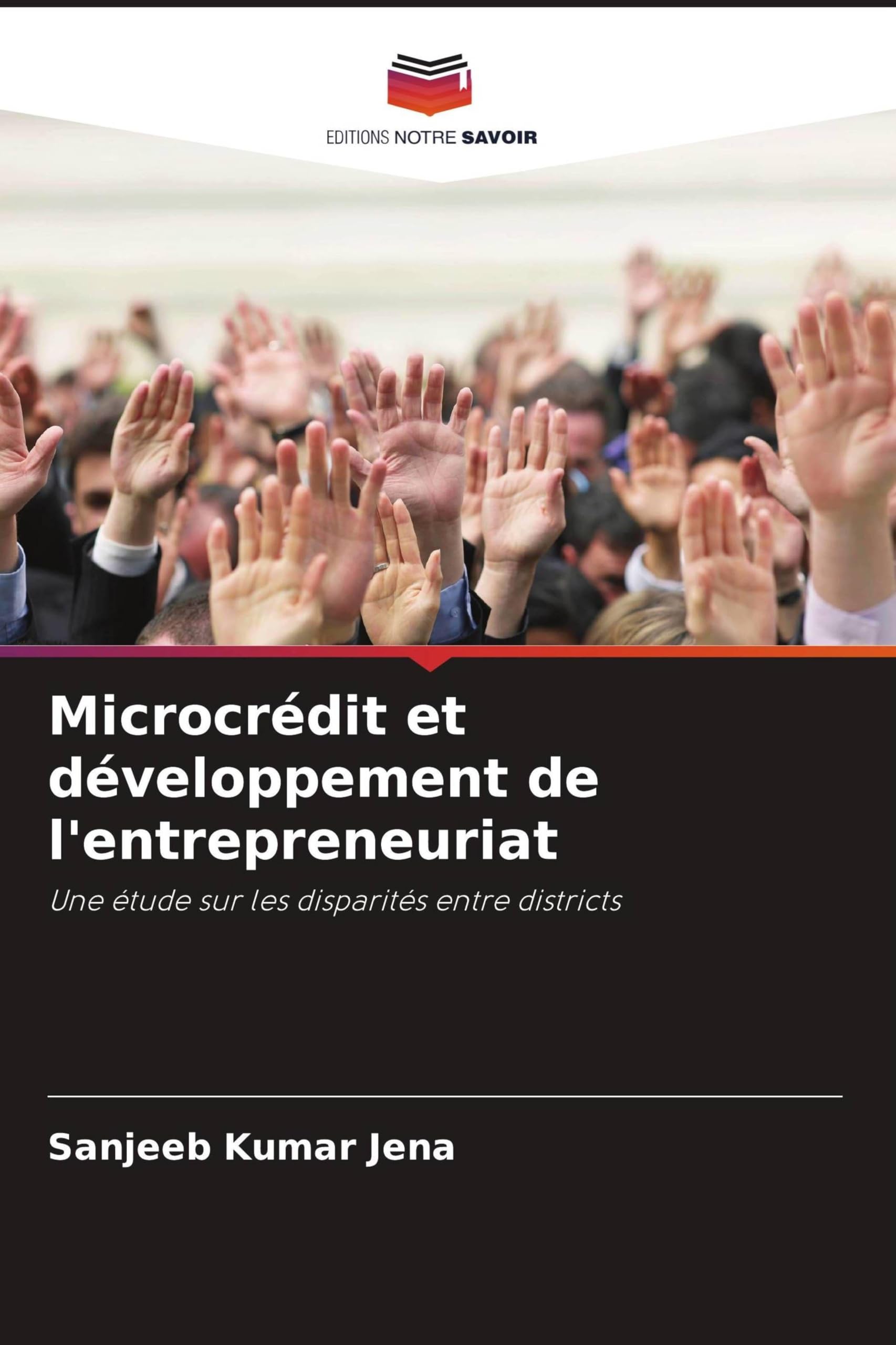 Microcrédit et développement de l'entrepreneuriat: Une étude sur les disparités entre districts