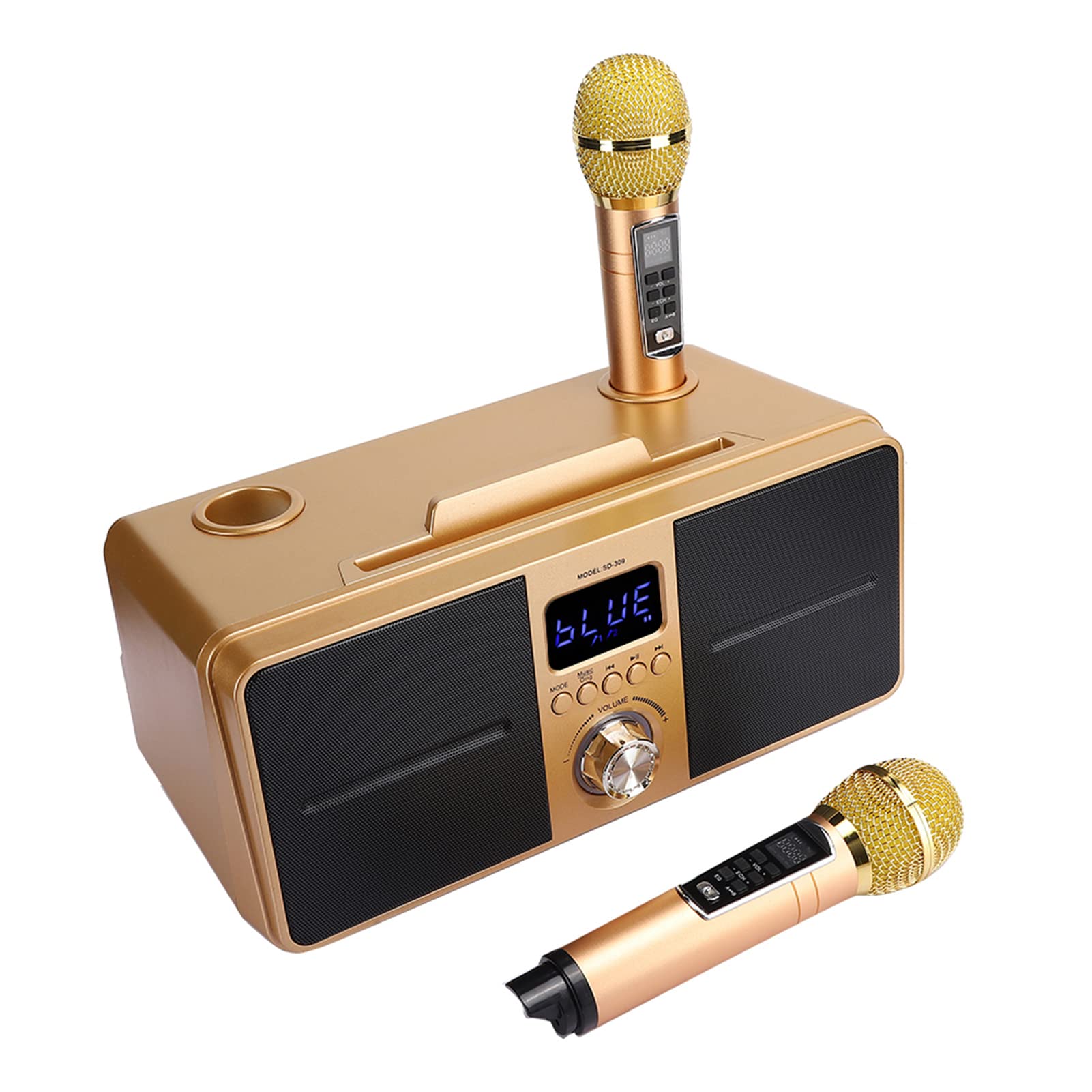 SUNGOOYUE Altoparlante Karaoke Altoparlante Portatile Bluetooth 4.2 Integrato con Microfono Lettore in Metallo ABS 2x15 W Batteria da 3 Ore per Esercitazioni di Canto in Famiglia per Feste in Casa