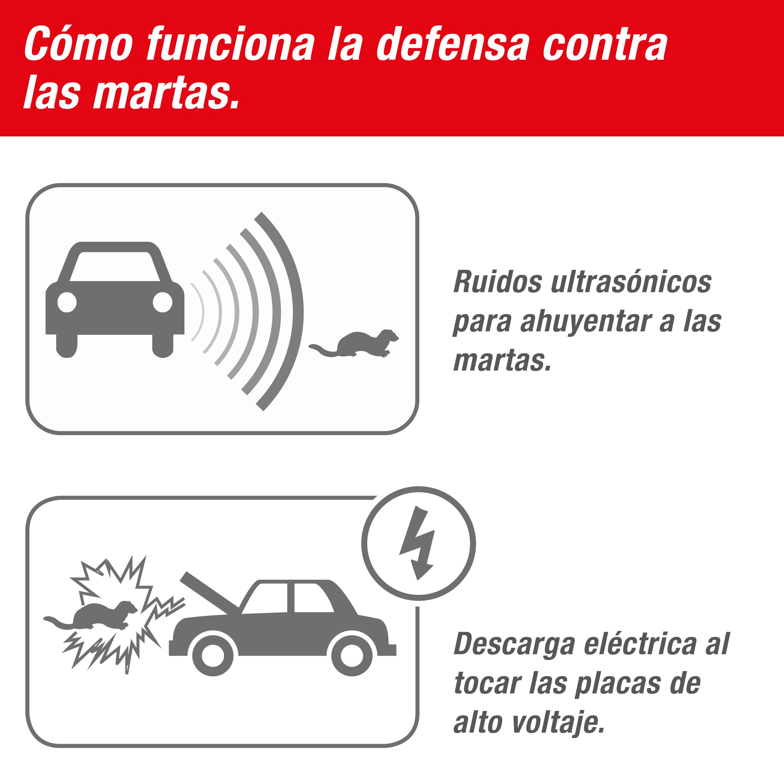 SWISSINNO Repelente para Martas para Coche 12V – Ultrasonido + Descargas Eléctricas – Protección Motor – Placas INOX – Bajo Consumo – Apagado Automático – Calidad Suiza | Anti hechizo, anti roedor, compartimento del motor, garaje, casa, Martres Repeller R