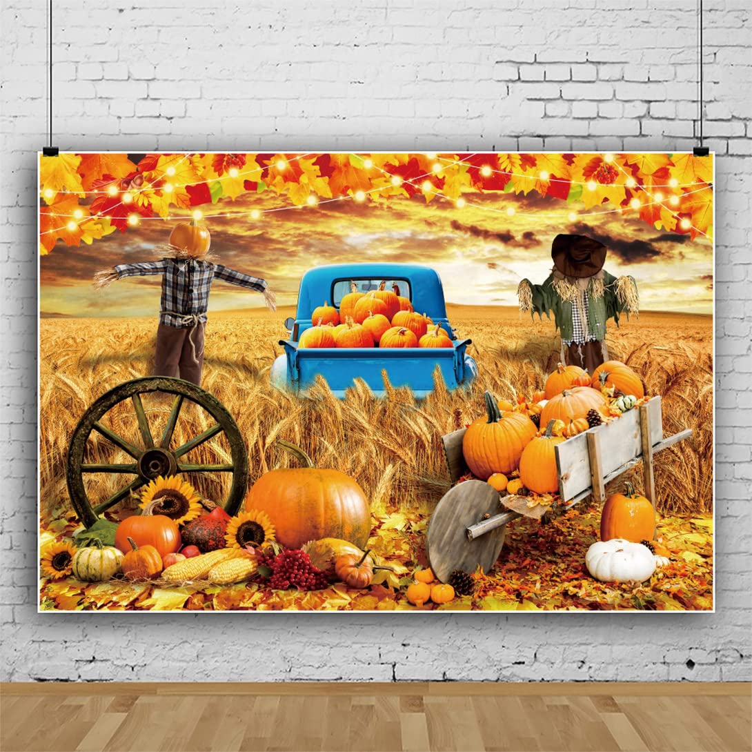 GTEXT Federa Per Cuscino 50x30 Cm Con Scritta Hello Zucca - Stile Fattoria, Autunno, Stoffa In Lino 100% Poliestere, Cerniera Nascosta