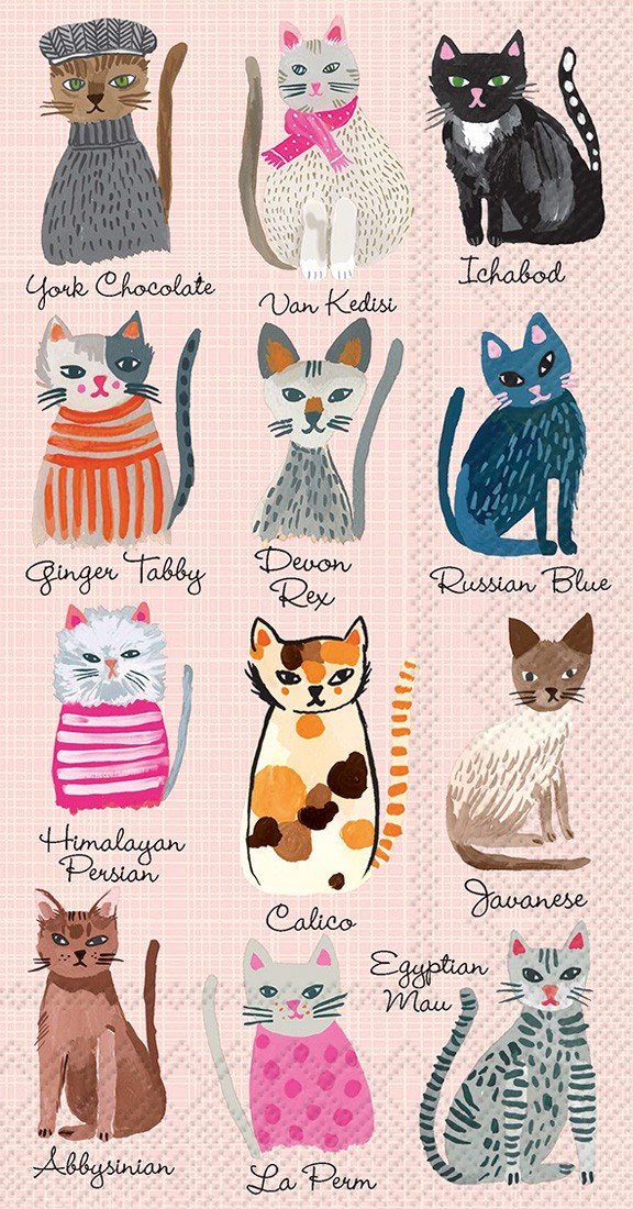 Boston International IHR Papierservietten – 20 Stück, 3-lagig, Cocktailgröße 12,7x12,7 Cm