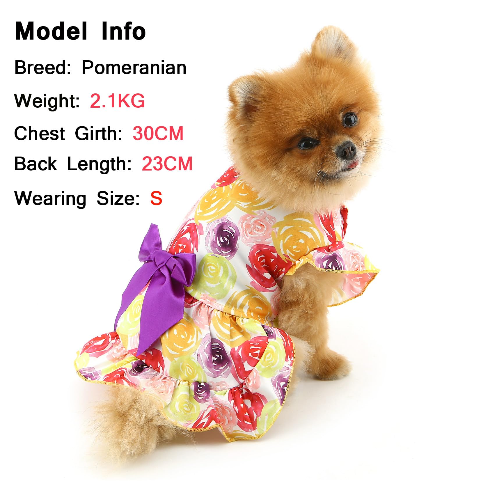 SMALLLEE_LUCKY_STORE Dog Dress for Small Dog Girls Princess Pet Skirts with Bow and Floral Pattern Puppy Clothes Birthday Holiday Valentine Chihuahua Cat Apparel, Floral, S