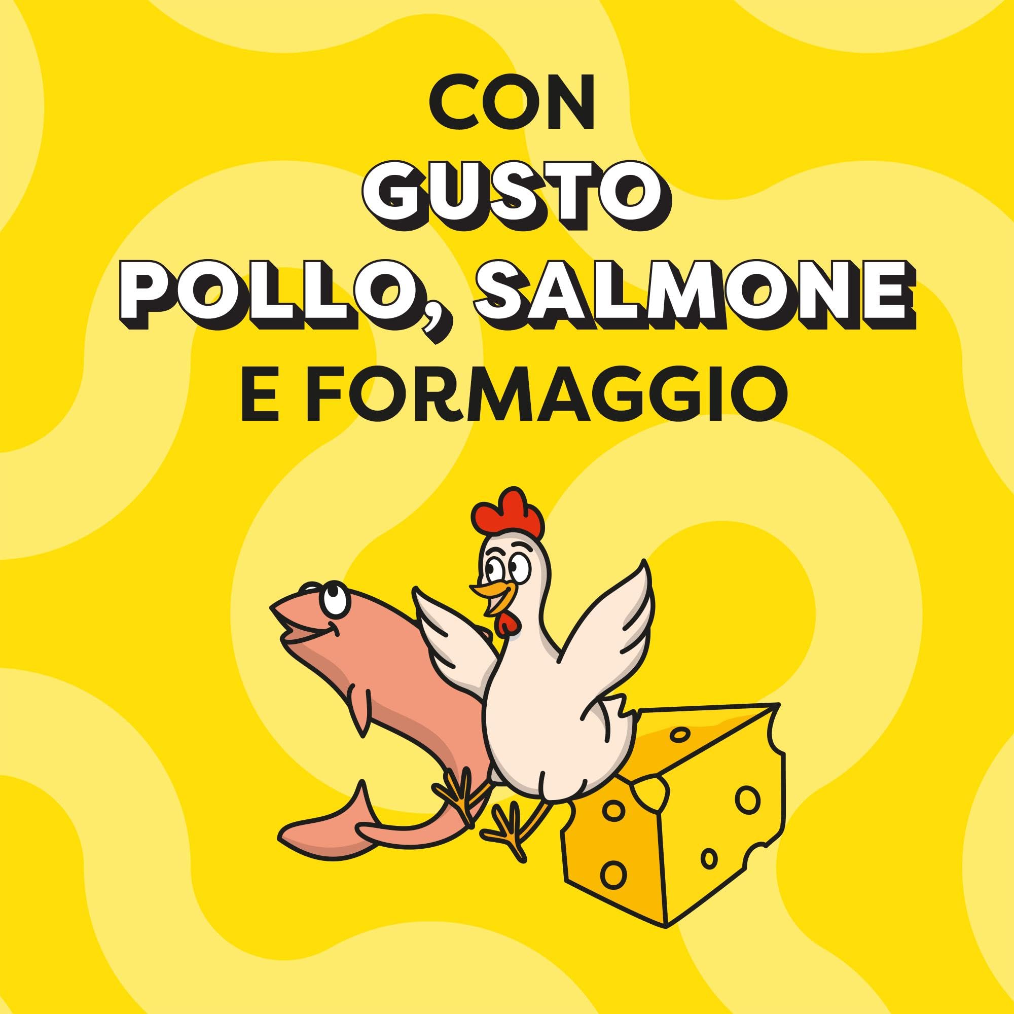 Catisfactions Snack per Gatto, Confezione mista Pollo Formaggio Salmone, 12 x 60 g