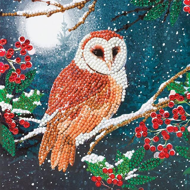 CCK-A65: "Barn Owl" 18x18cm Crystal Art Card