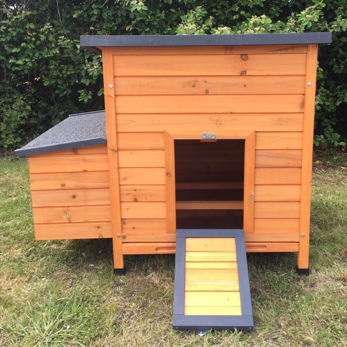Animal Valley Gallinero Sussex XL Techo Shingle Negro Abatible para 6 a 10 Gallinas, Madera FSC