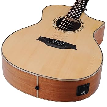 Amazon.com: Bromo BAT 4CE-12 String SG Solid Top Dreadnought