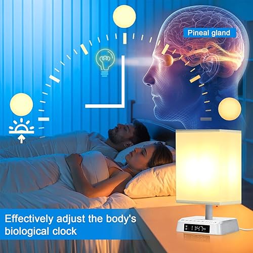 Miniatura 4 de Lámpara de mesita de noche Sonido y luz despertar amanecer despertador lámpara de ajuste Bioclock Programable Entorno natural incorporado Ruido