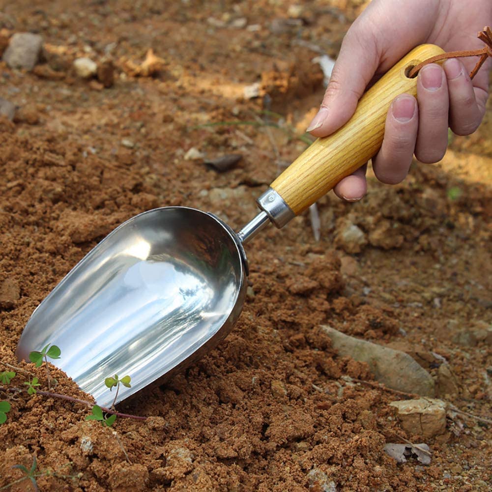 AKAZI Pala para Hielo de Acero Inoxidable, Pala para Dulces, Pala para Hielo, Pala para Cubos Secos, Pala para Productos Secos, Pala para Especias, Plateada, 30x9,5 cm (12x4 Pulgadas)