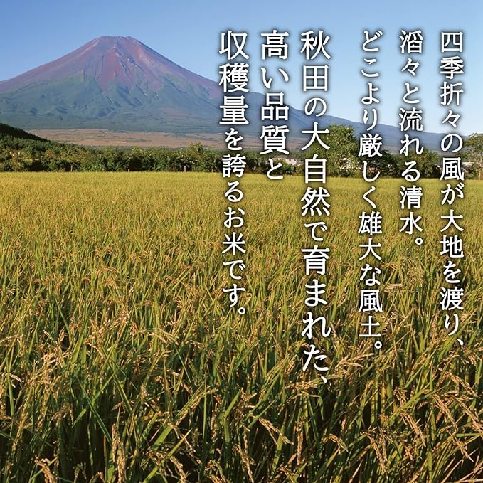 Amazon.co.jp: by Amazon 秋田県産 あきたこまち 精米 5kg 令和7年産