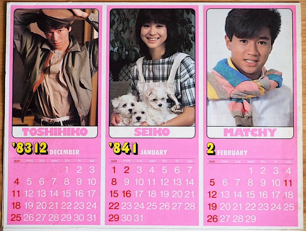 Amazon.co.jp: 1984年 河合奈保子 堀ちえみ 早見優 小泉今日子 石川