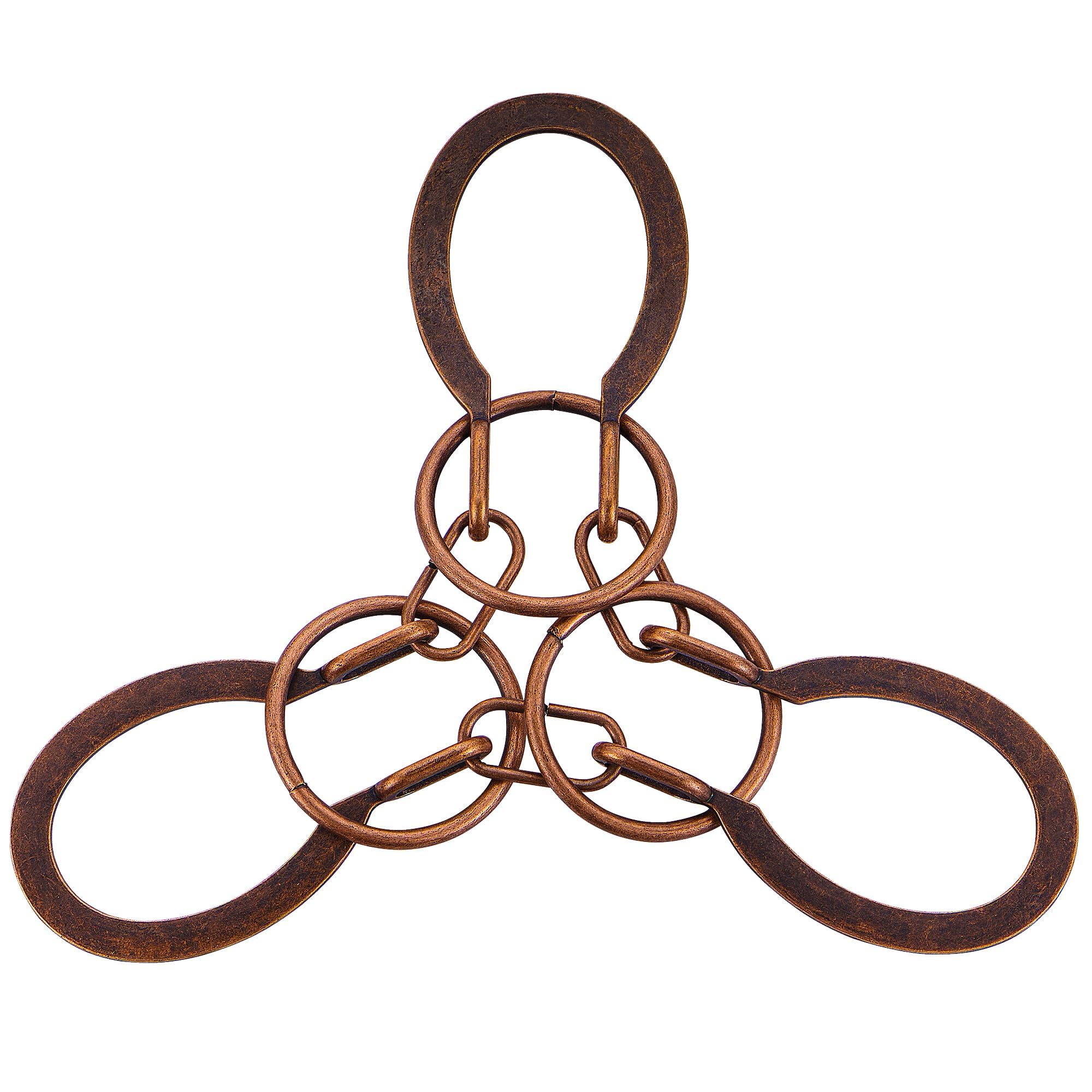 Brain Teaser Puzzles - Metal Horseshoe Cast Puzzle Game Unlock Interlock Puzzles Box Mind IQ Logic Test Disentanglement Games for Adults Office Supplies WP140D