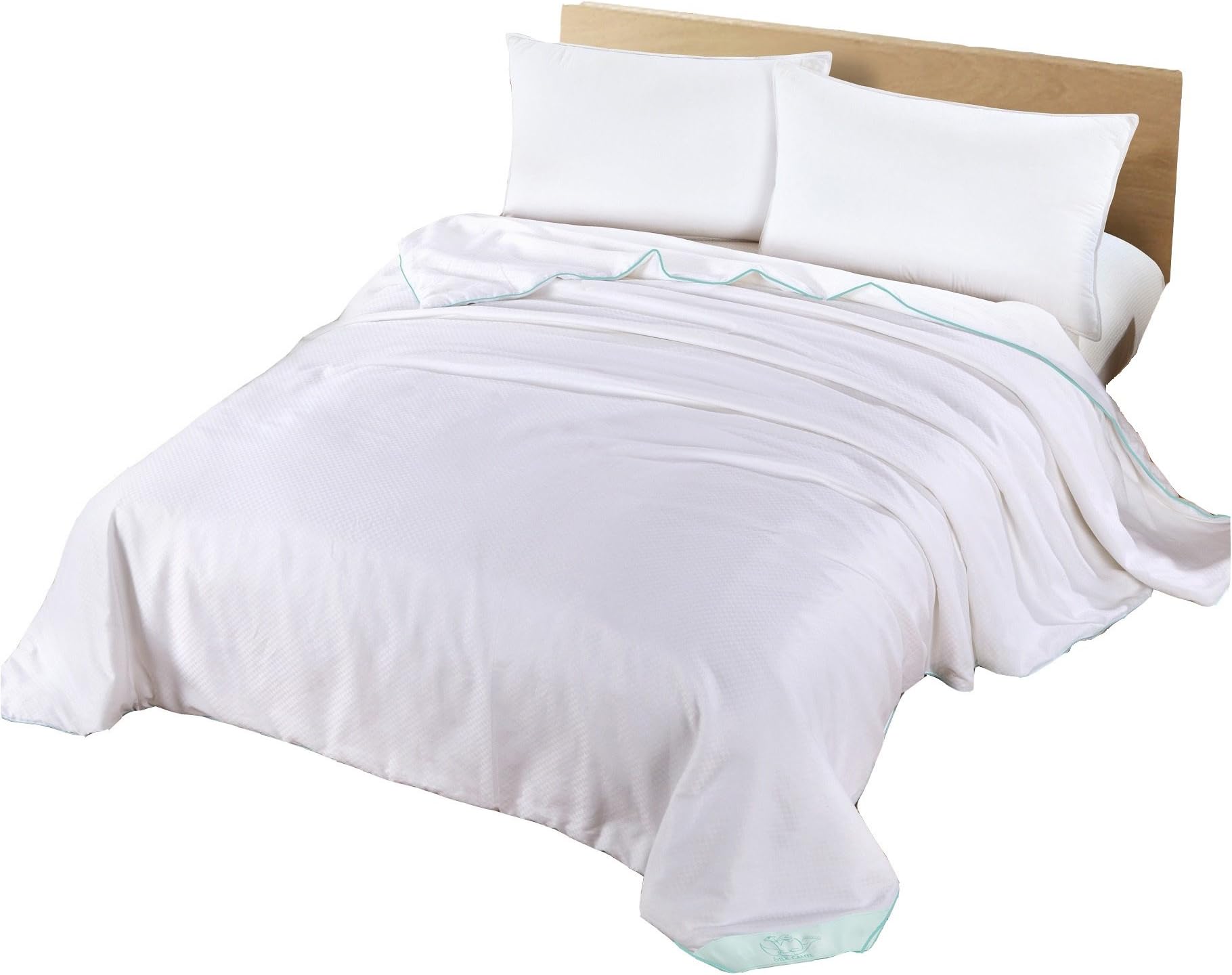 Luxury Comforter/Duvet Filling with 100% Natural Long Strand Mulberry Silk for Spring Season - California King Size