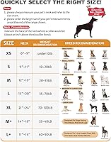 Vista 5 de MIDOG Inflatable Dog Cone Alternative for After Surgery - Soft Protective Donut Collar Prevents Licking, Comfortable Recovery E-Collar Alternative