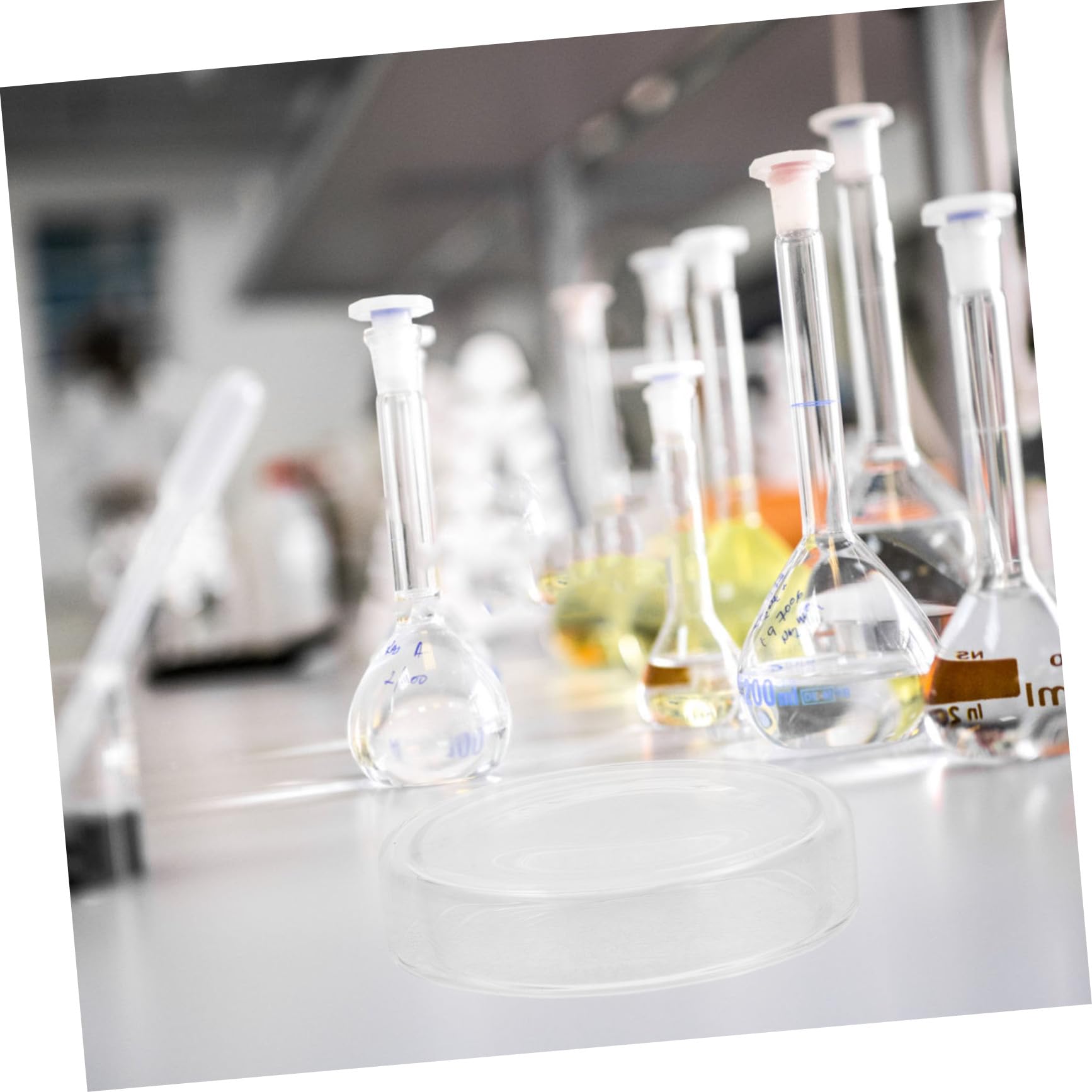6 Stück Glas Petrischalen Hochborosilikat, Flache Kulturschalen | Deckel, Transparent, für Laborversuche und Zellkultur, Leicht zu Reinigen und Stapelbar