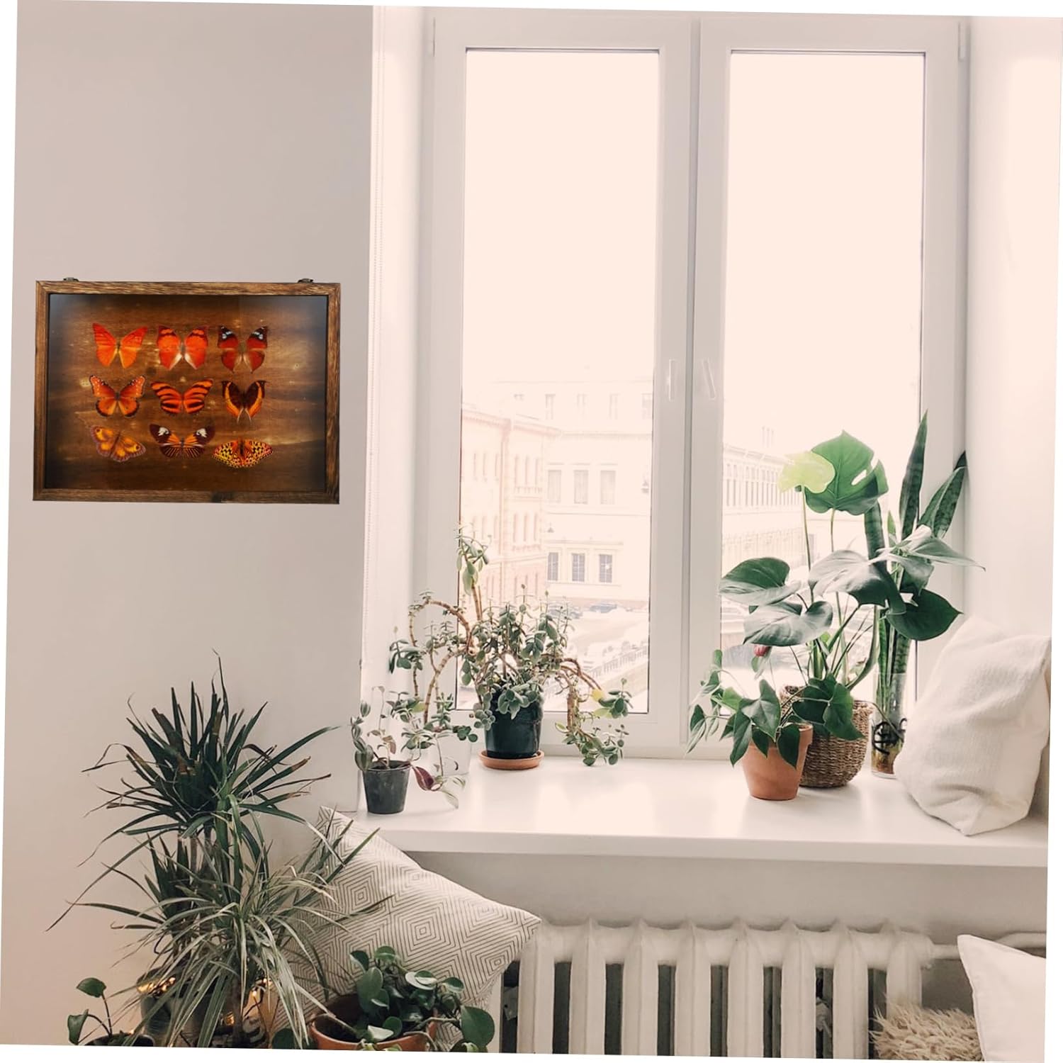 OUNONA Hanging Insect Display Box Wooden Specimen Frame Box Acrylic Wood Storage